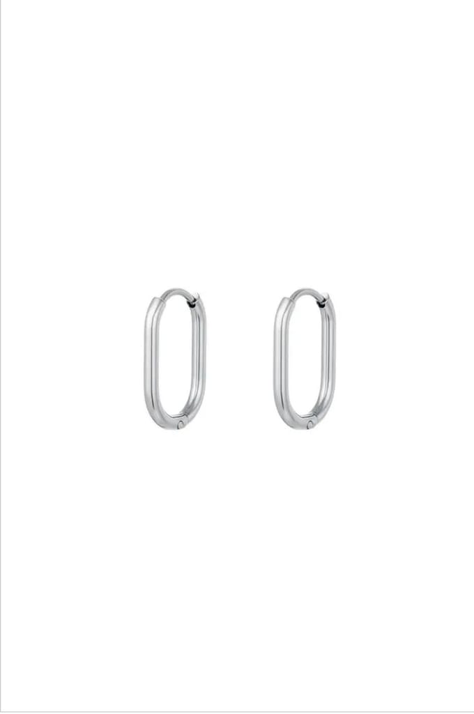 Ovale oorbellen Zilver Stainless Steel