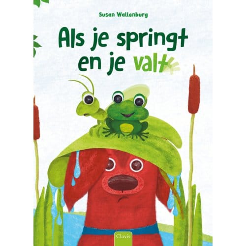 Als Je Springt En Je Valt - Susan Wallenburg