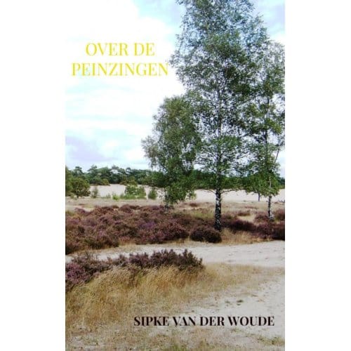 Over De Peinzingen - Sipke Van der Woude
