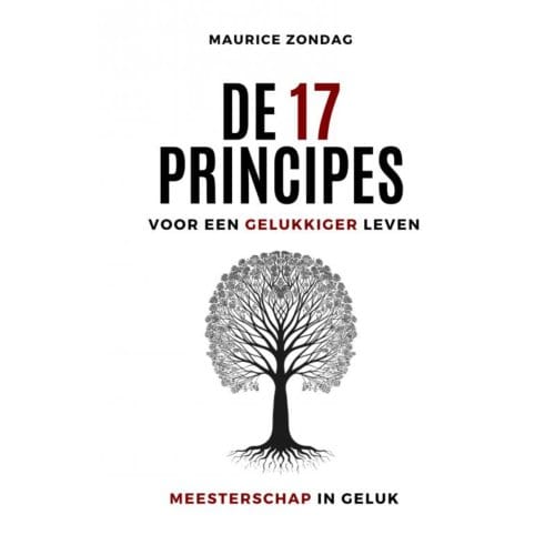 De 17 Principes Voor Een Gelukkiger Leven - Maurice Zondag