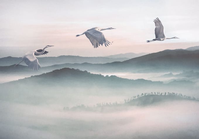 Fotobehang - Mystic Cranes 400x280cm - Vliesbehang