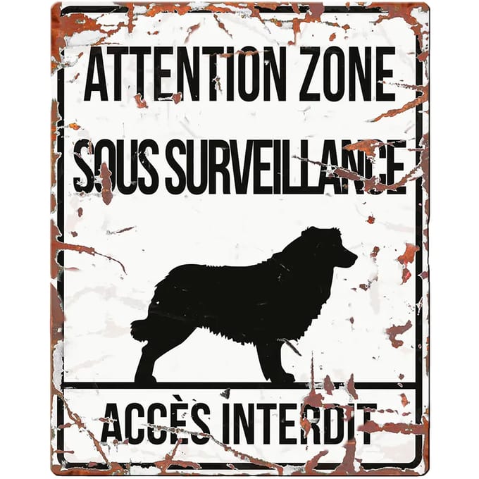 Waarschuwingsdisplay D&D Home Square Collie F