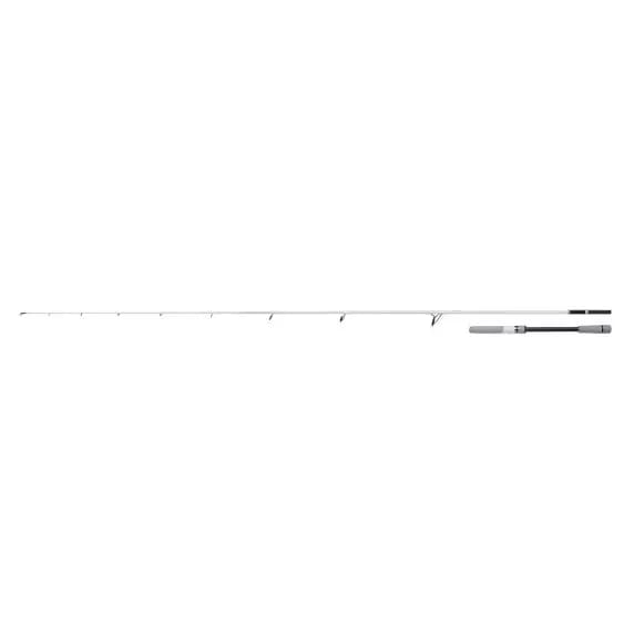 Spinhengel Shimano Stradic 30-80 g