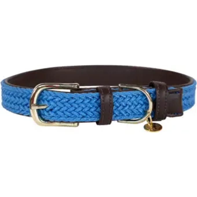 Gevlochten nylon hondenhalsband Kentucky