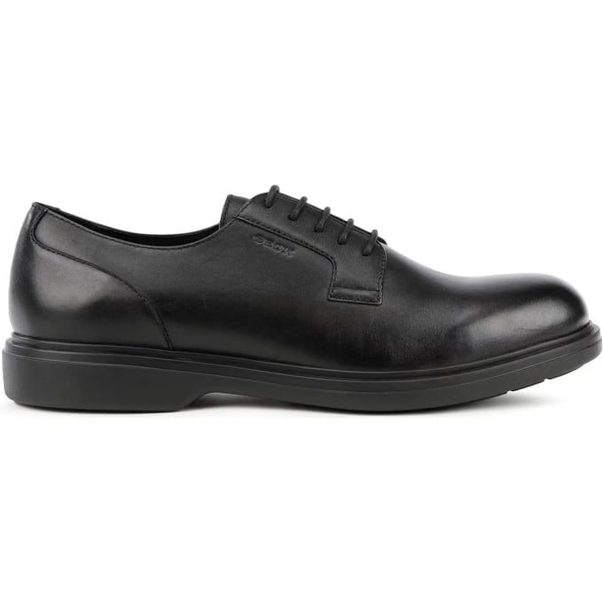 Derbie Geox Ottavio