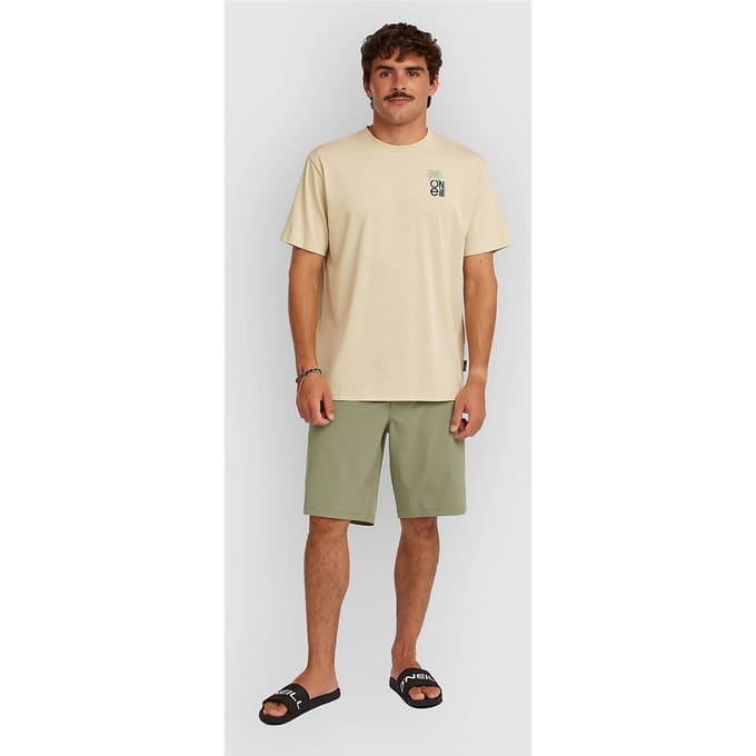 O'Neill O'Neill Hybrid 19" Korte Broek groen