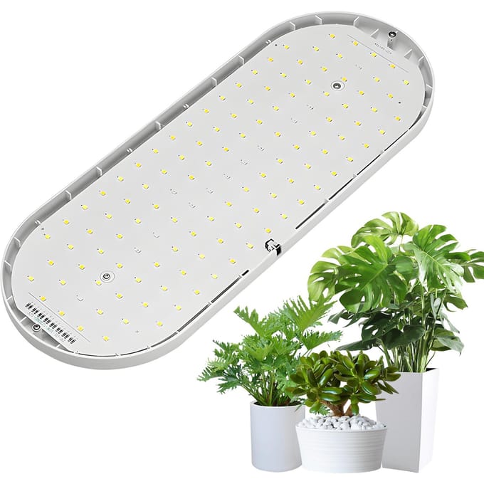 LED Groeilamp Volledig Spectrum 10W 2U/4U/8U Timer 4 Dimbare Niveaus Plantenlampen voor Kamerplanten AU Plug wit