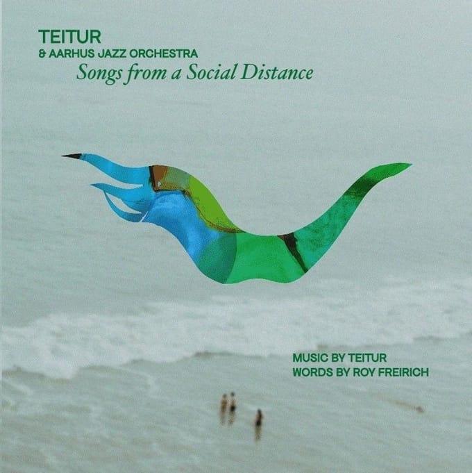 Teitur & Aarhus Jazz Orchestra - Songs From A Social Distance (CD)