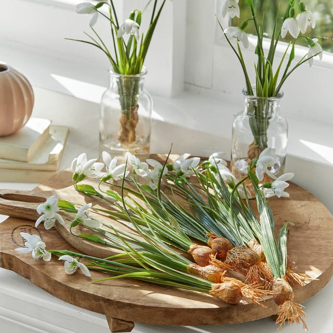 LOBERON Sierbloem set van 12 Willmare wit/groen