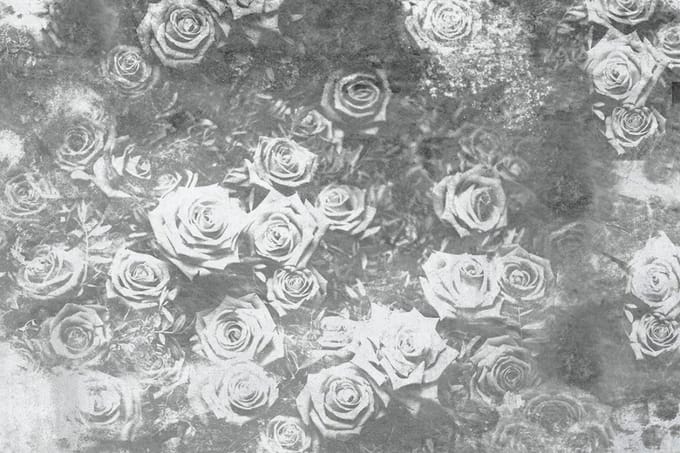 Fotobehang - Roses Abstract II 375x250cm - Vliesbehang