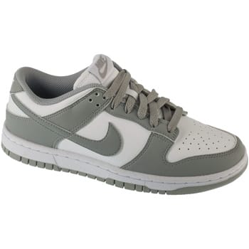 Nike Dunk Low Next Nature Light Smoke Grey Dames Sneakers Wit DD1873-113 36 white