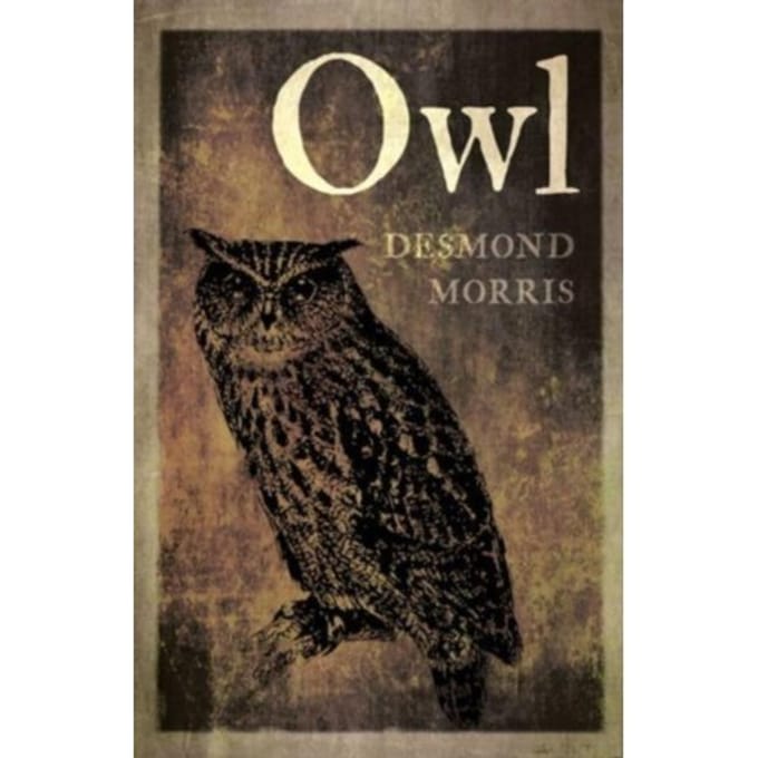 Owl - Desmond Morris