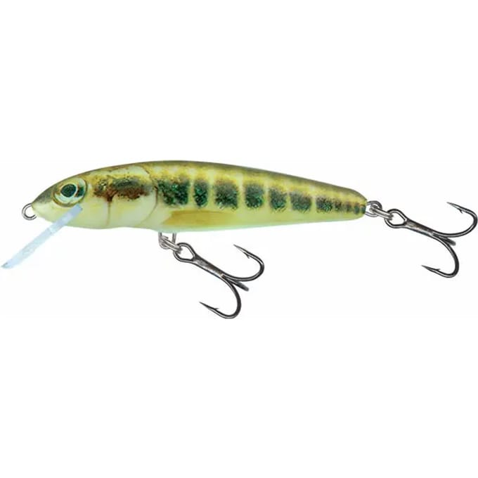 Lure Salmo Minnow SNK 5g