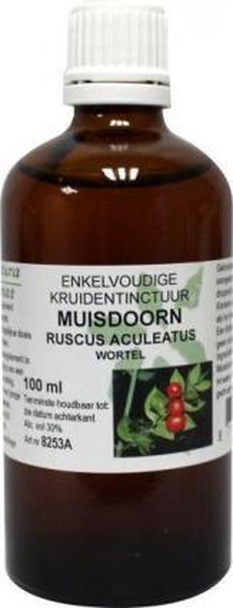 Ruscus Aculeatus Rad/Muisdoorn
