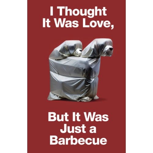 I Thought It Was Love, But It Was Just A Barbecue - SerraGlia