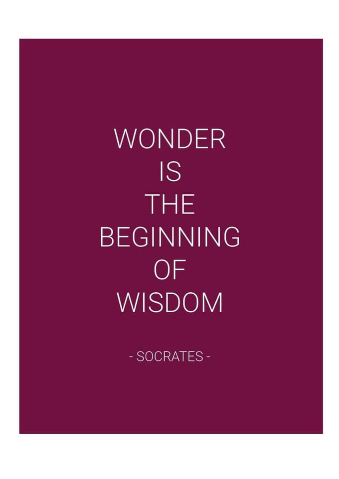 Planner - Softcover - Bordeauxrood - Quote - Socrates - Elastiek - Weekplanner - Werk - Studie - Structuur - Effectiviteit - Agenda