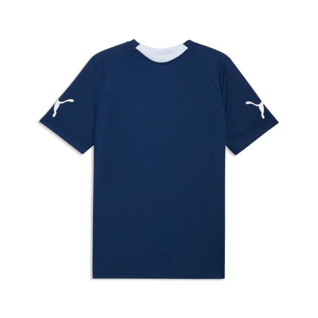 PUMA - individualfinal jersey - Voetbalshirt korte mouw heren - Blauw
