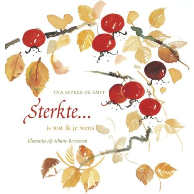 Sterkte ... Is Wat Ik Je Wens - Ina Sipkes de Smit