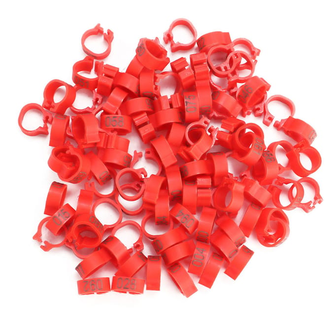 Lot de 100 bagues en plastique numérotées de 8 mm, 001 à 100, pour pattes de pigeon(rouge) rouge