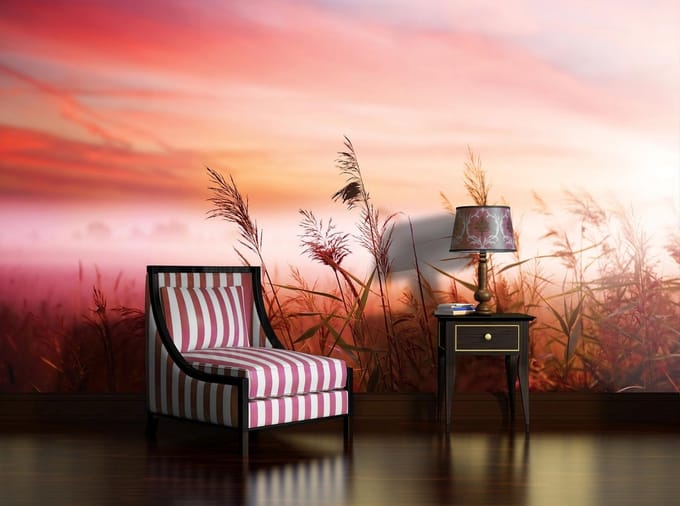 Field Sunset Sunrise Photo Wallcovering