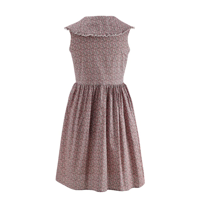 Cilla Jurk Katoenen Poplin in Roze