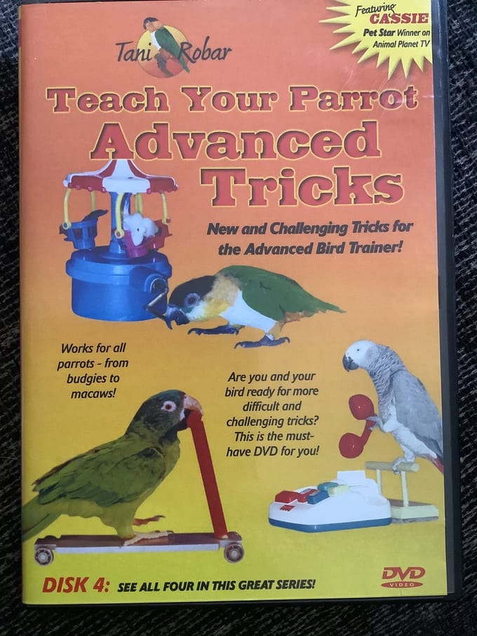 Teach your parrot advanced tricks
