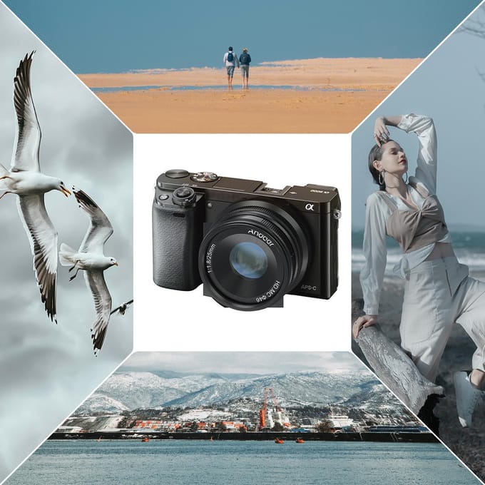 Andoer 25mm F1.8 APS-C handmatige focus cameralens groot diafragma groothoek vervanging voor Sony zwart