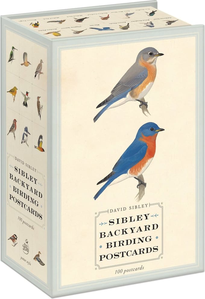 Sibley Backyard Birding Postcards