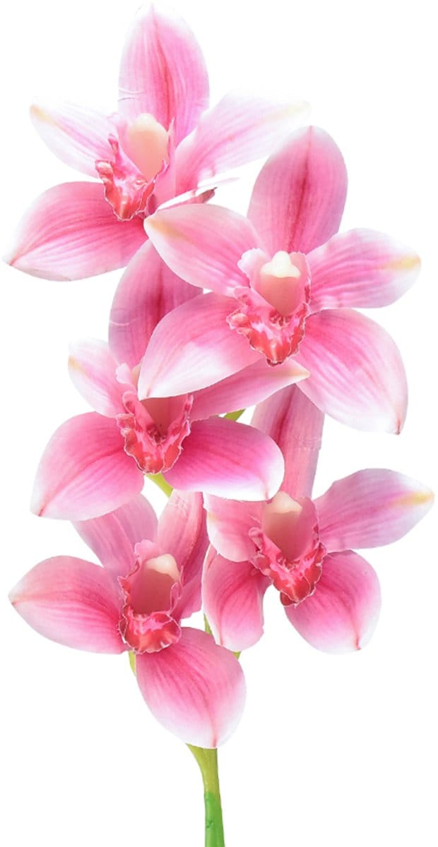Cymbidium orchidee kunst 5 bloemen roze 65cm