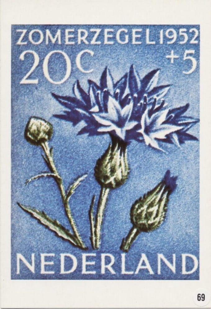 Briefkaart met afbeelding korenbloem postzegel