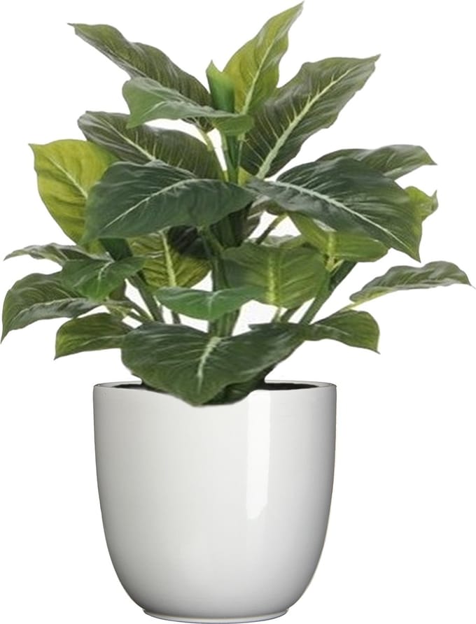 Mica Decorations Kunstplant Philodendron - groen - 49 cm - in bloempot - wit - D14.5 cm - complete set