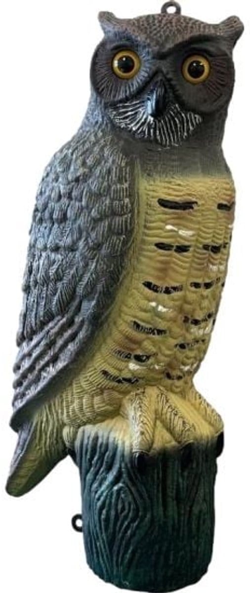 SuperFish Deco Vogel Uil
