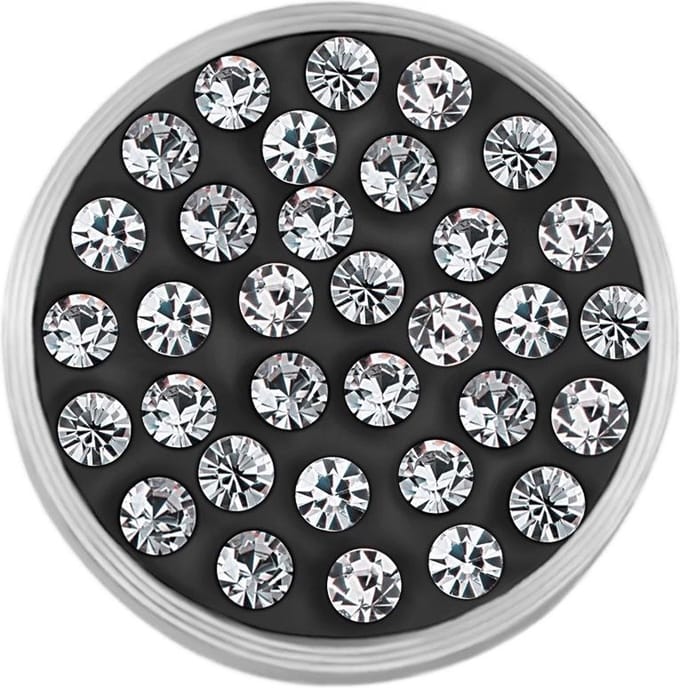 Quiges RVS Verwisselbare Mini Munt met Zirkonia Stenen Transparant - SLSRC012