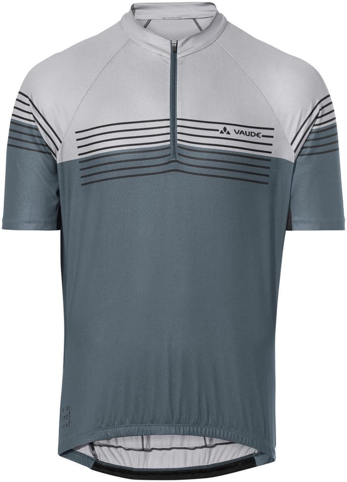 Sporttrui Men's Posta HZ Tricot II Herren