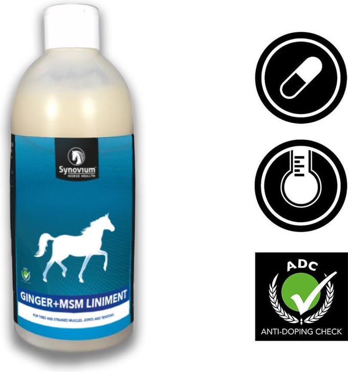 SYNOVIUM GINGER + MSM LINIMENT 500 ml