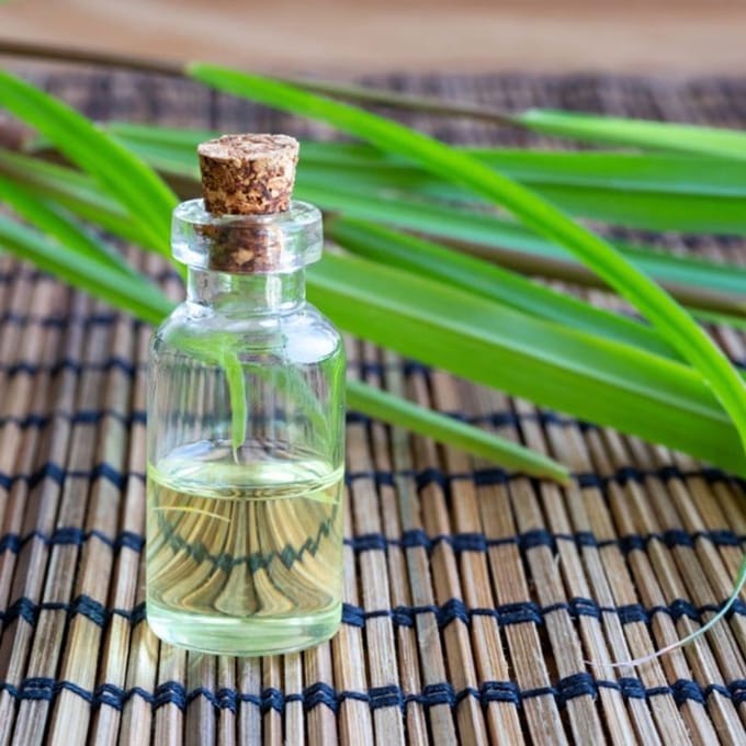 Vetiver Java Etherische Olie - 50 ml