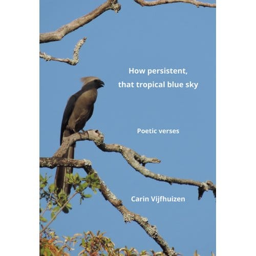 How Persistent, That Tropical Blue Sky - Carin Vijfhuizen