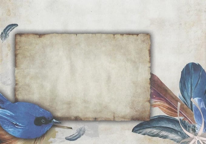 Enveloppen Veertjes - 25 stuks C6 formaat met plakstripsluiting - Envelop Feathers