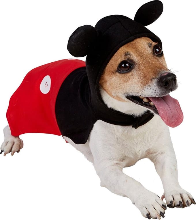 Mickey Mouse kostuum voor honden