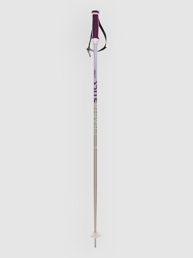 Völkl Phantastick W Poles 2025 Ski Stokken grijs