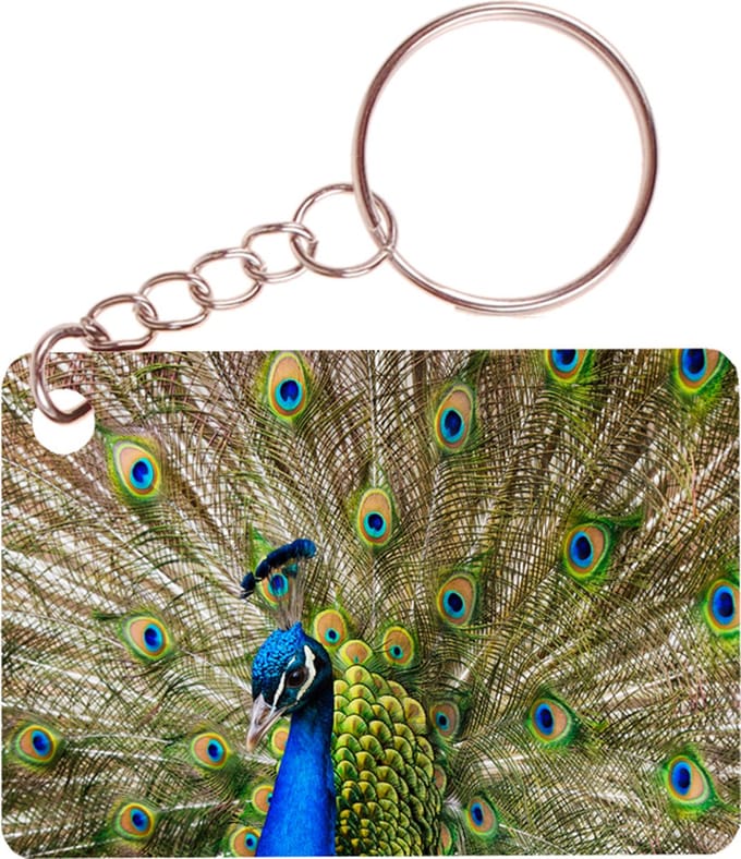 Sleutelhanger 6x4cm - Pauw met Veren Uitstaand