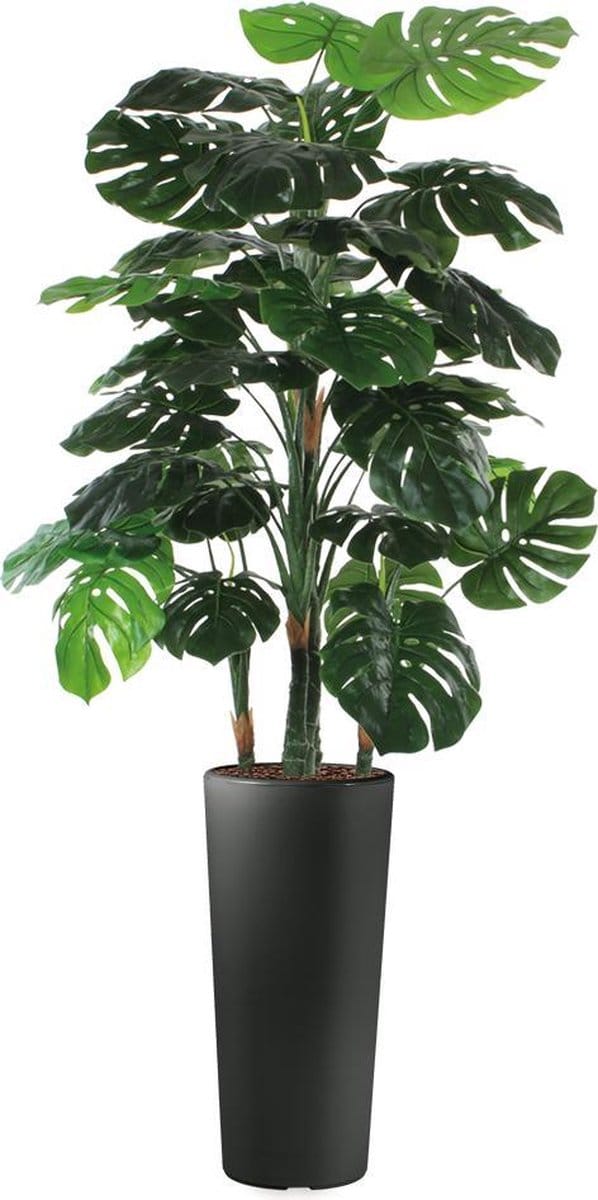 HTT - Kunstplant Monstera in Clou rond antraciet H195 cm