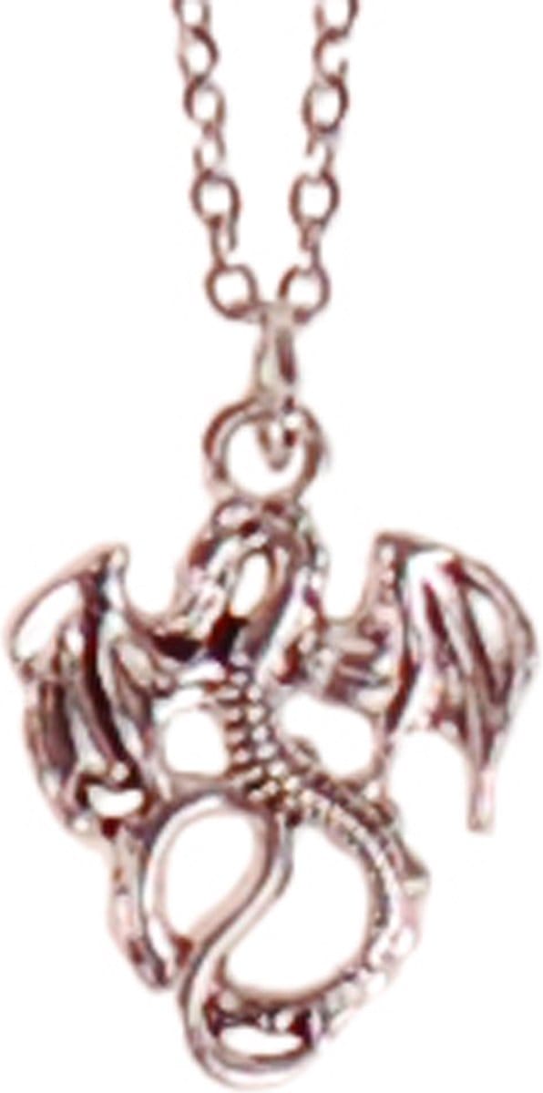 Kinderketting RVS 45cm - Hangertje Draakje Zilverkleurig 2cm