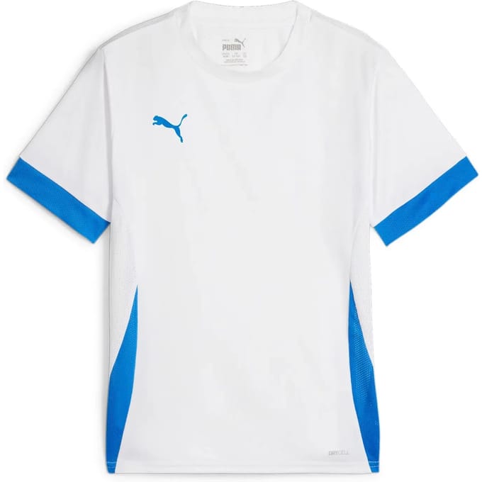 Trainingstrui voor kinderen Puma TeamGoal