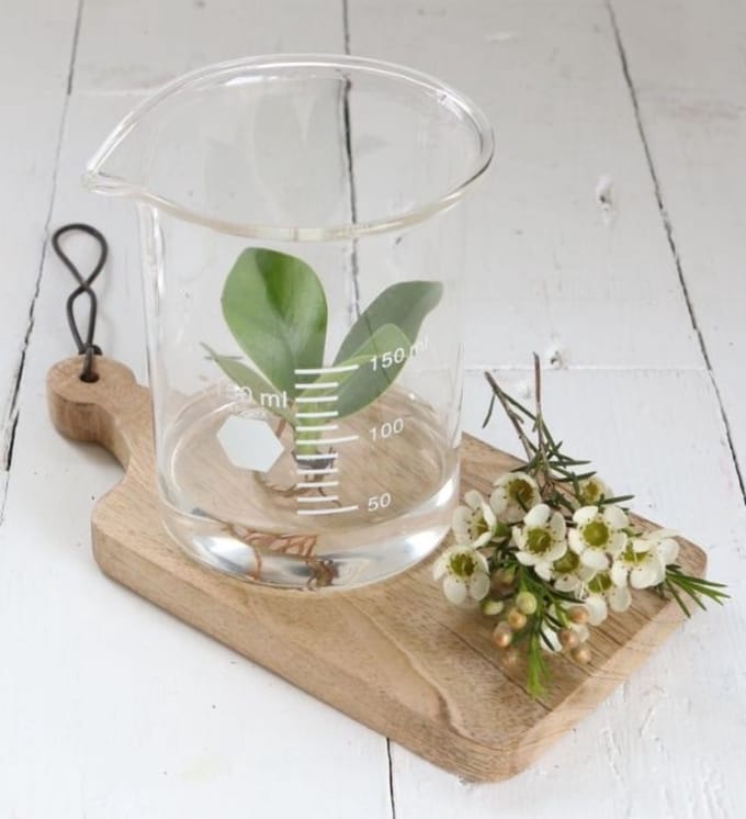 Laboratoriumglas Cilinder Ø 9cm en 11cm hoog (1 pc)