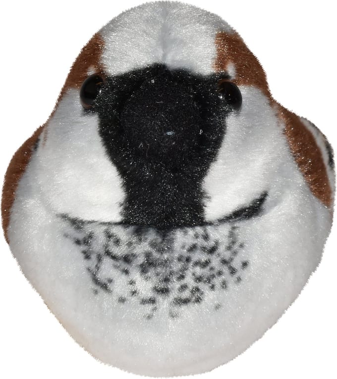 Vogel met geluid huismus