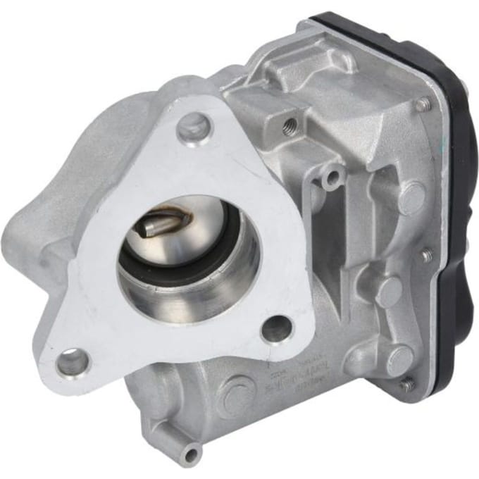 EGR-klep DELPHI EG10557-12B1
