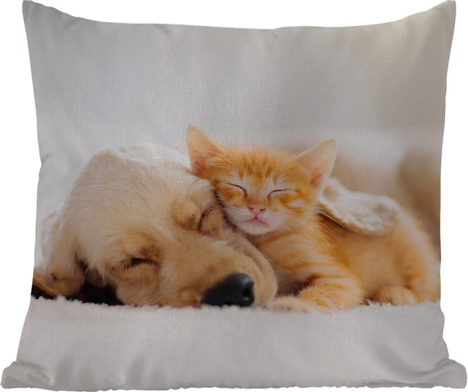 Tuinkussen - Dieren - Hond - Kitten - Rood - 40x40 cm - Weerbestendig