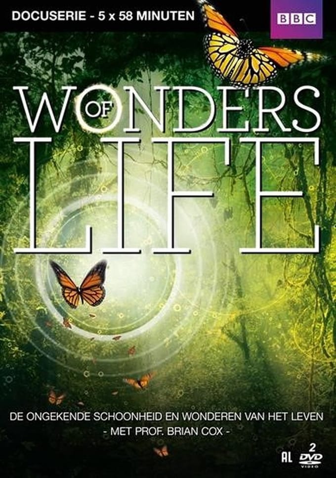 Wonders Of Life