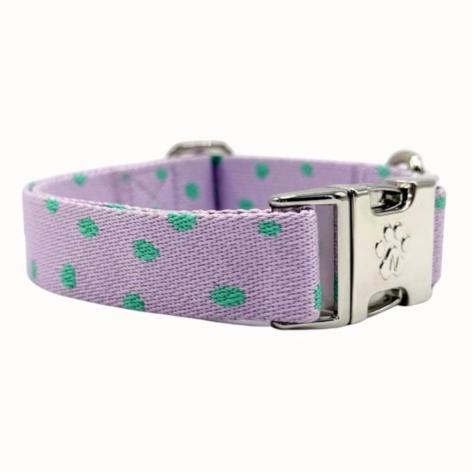 Polkadot - Halsband Hond - S- 28 / 40 cm